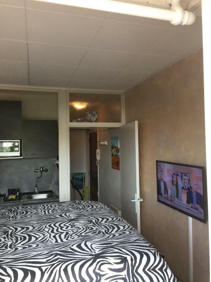 Frejus Studio Экстерьер фото